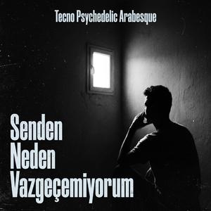 Senden Neden Vazgeçemiyorum