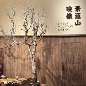 帕哎冷歌·布朗族