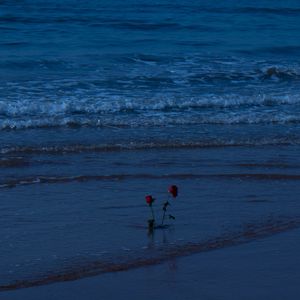 那就让她走吧（伴奏） 伴奏