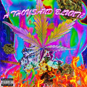 A Thousand Bluntz (feat. Acid Souljah & fanm)