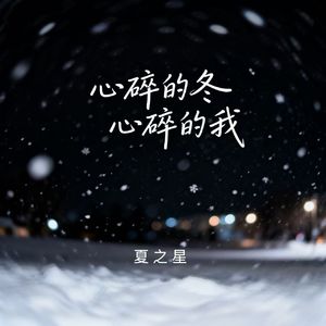 心碎的冬心碎的我