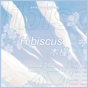 Hibiscus木槿