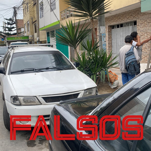 Falsos