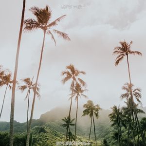 适合专注离散的音乐