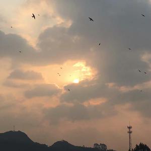 被禁忌的游戏（翻自 逼哥）