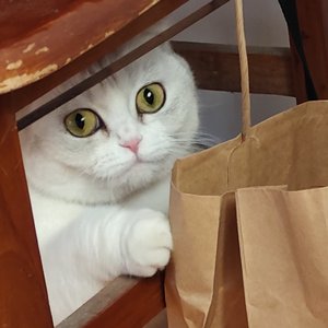 怕忘记你的名字