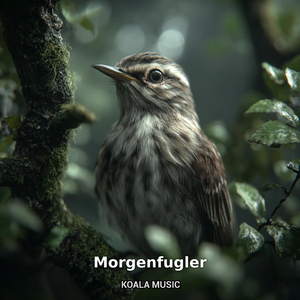 Morgenfugler – Friske Fuglelyder for En Ny Dag, Pt.5