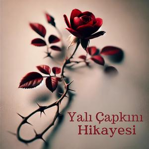 Yalı Çapkını Hikayesi