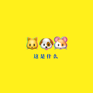 这是什么？(What is this?)