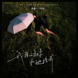 我栽的树为她挡雨