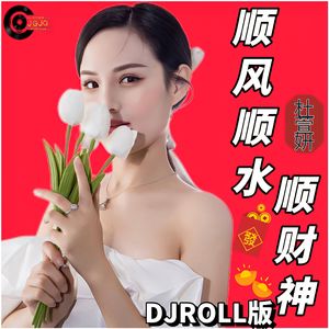 顺风顺水顺财神（DJROLL版）