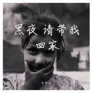 黑夜 请带我回家