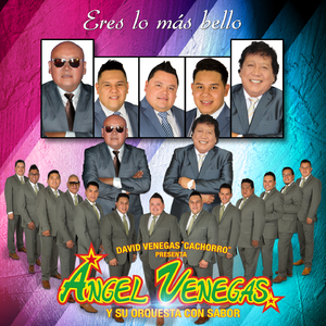 Eres Lo Más Bello (David Venegas Cachorro Presenta a Ángel Venegas y Su Orquesta Con Sabor)