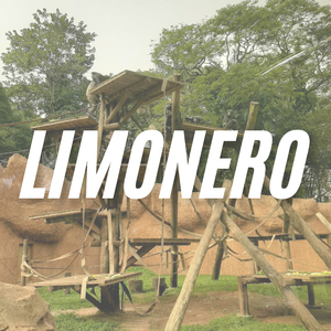 Limonero