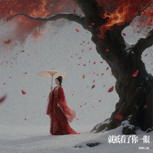 就只看了你一眼 (停顿dj版)