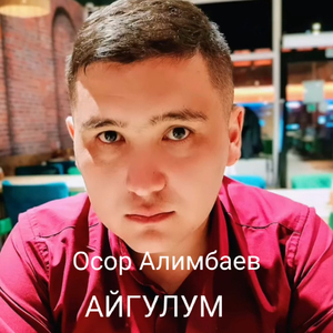 Айгулум (Cover)