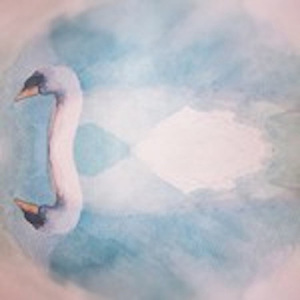 The Sliding Stones of Death Valley