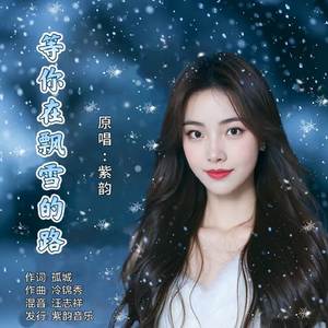 等你在飘雪的路(女版)