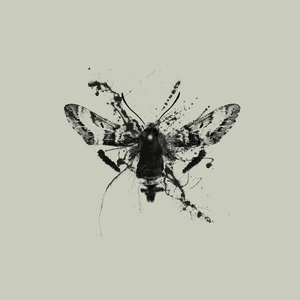 이 밤 (Classic Piano Ver.)