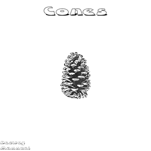 Cones