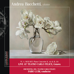 Piano Concerto No. 9 in E-Flat Major, K. 271 "Jeunehomme":II. Andantino