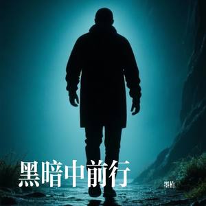黑暗中前行