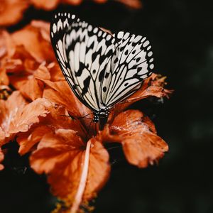 把永远写成现在进行中