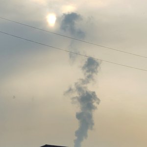 漠河舞厅(猫冬版)