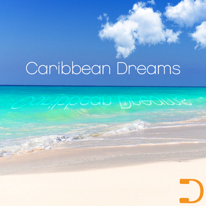 Follow The Sea Turtles