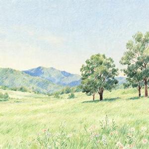 一滴泪的重量 (Cover 卢卢快闭嘴)