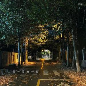 落叶没有停留x0.95 (变调版) ((Remix)