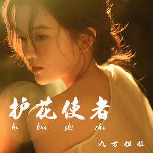 护花使者 (伴奏)