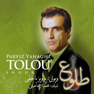 Zarbi (cont.) Golriz