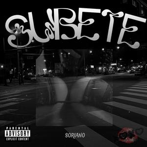 Subete