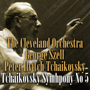 Symphony No. 5 in E Minor, Op. 64: II. Andante catabile, con alcuna licenza