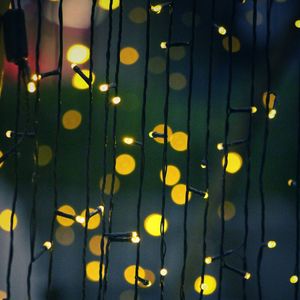 In a Gingerbread House