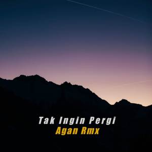 Tak Ingin Pergi (Remix)