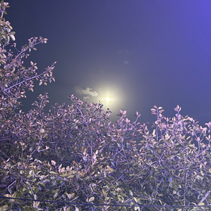 I"M Not Equal with the Lord