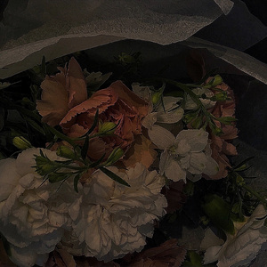 衍函（prod.GALA$XXY）