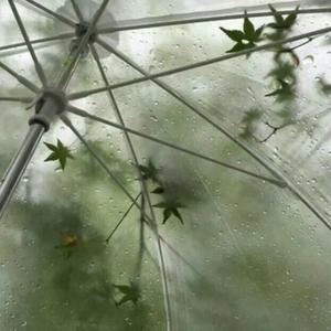 我是悬崖上的花