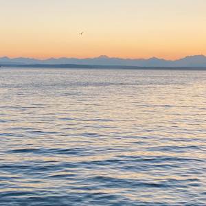 No Time To Die (Piano Cover)