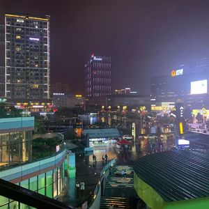 杨树