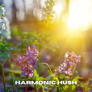 Harmonic Hush (Loopable, No Fade)