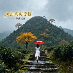 阿哥别再等我