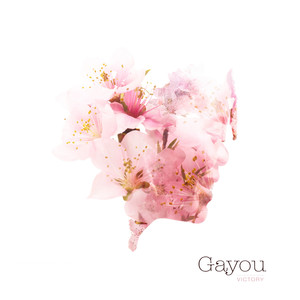 Que la lumière jaillisse