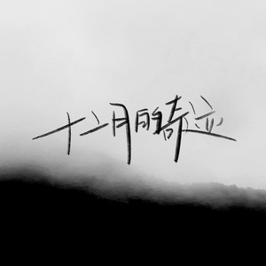 十二月的奇迹 (DJ版)