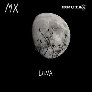 Luna (Macaco Remix Macaco´s mix)