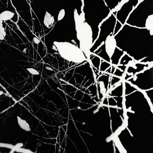 Пастельные краски разливаются в хохоте