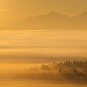 也许有些人一直在等你 伴奏