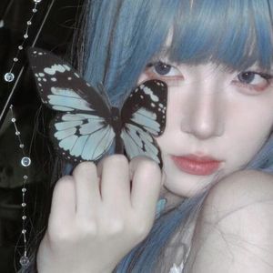 蝴蝶爱